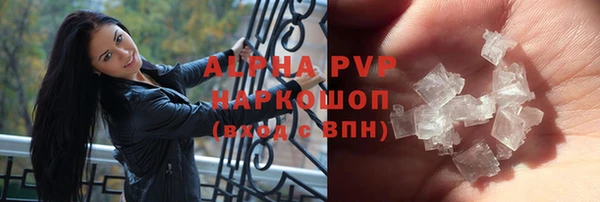 ECSTASY Гусев