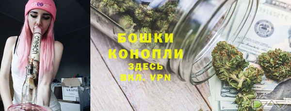 мескалин Гусь-Хрустальный