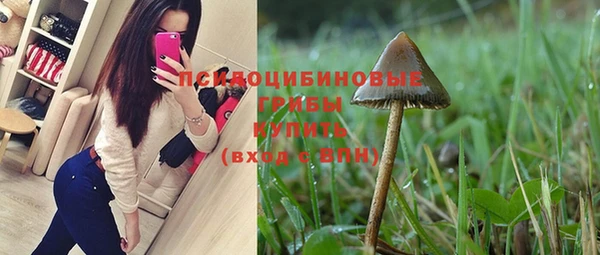а пвп мука Гусиноозёрск