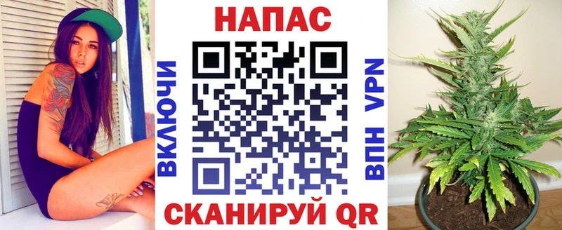 Канабис ГИДРОПОН  Жуков 